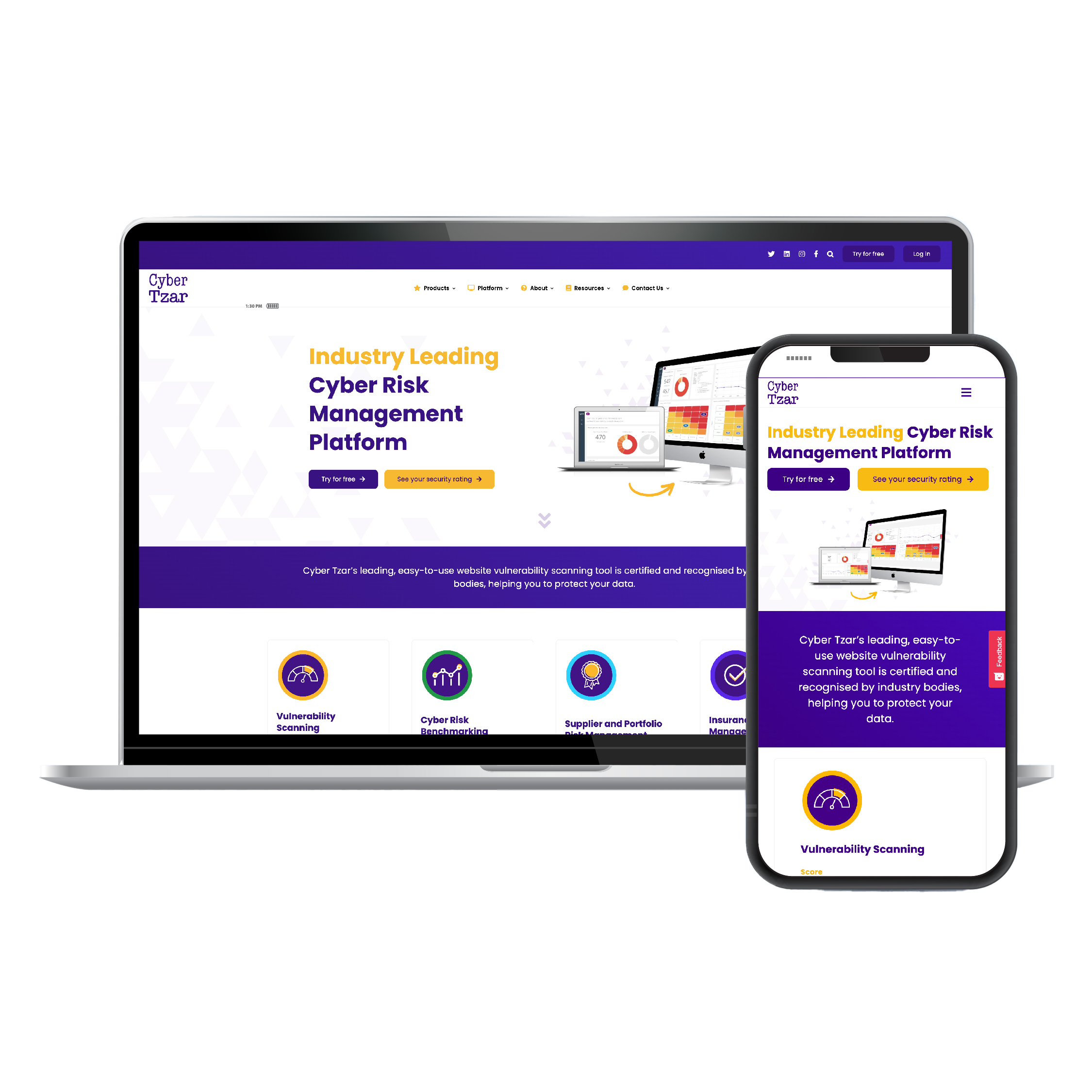 Website development image 1